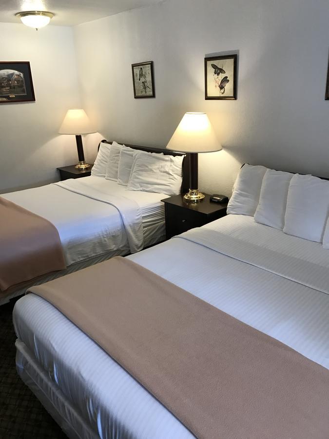 Gold Pan Lodge Quincy 외부 사진